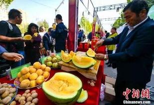 砀山最新吃瓜爆料事件,揭秘神秘事件背后的真相